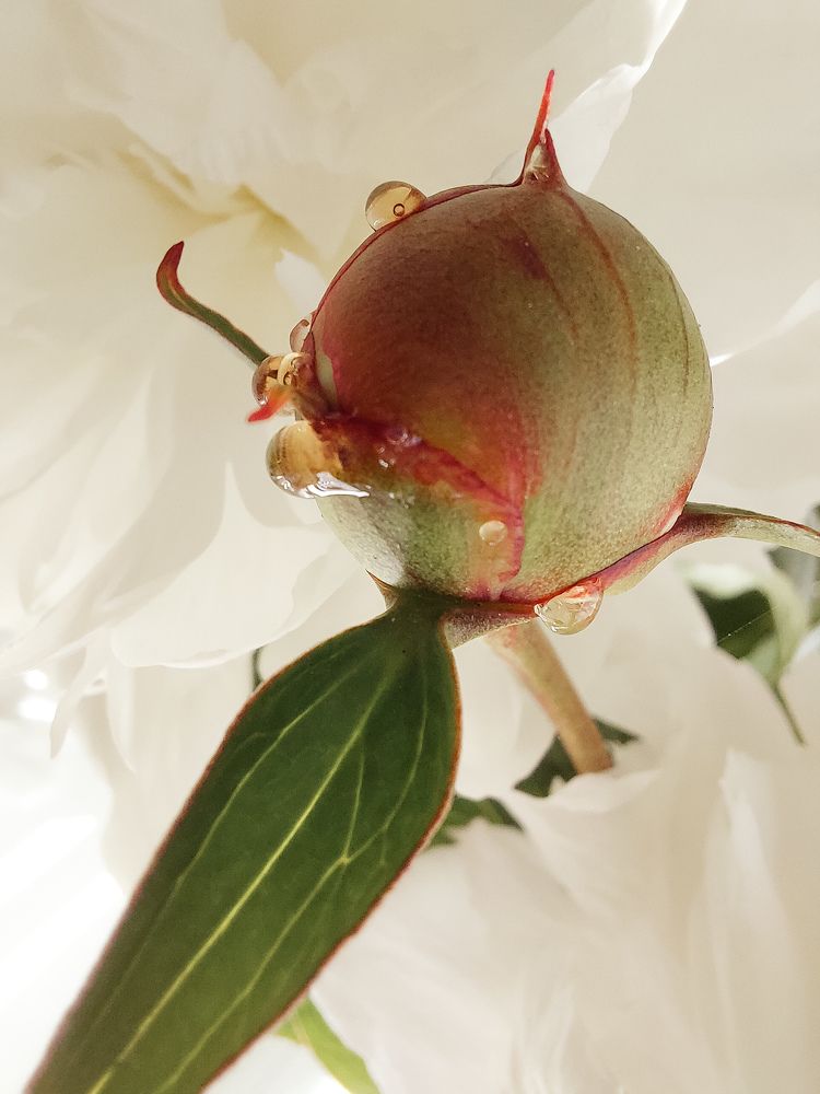 Photograph by Татьяна Олефиренко