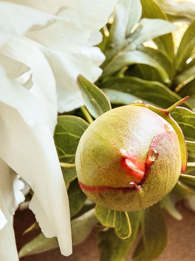 Photograph by Татьяна Олефиренко