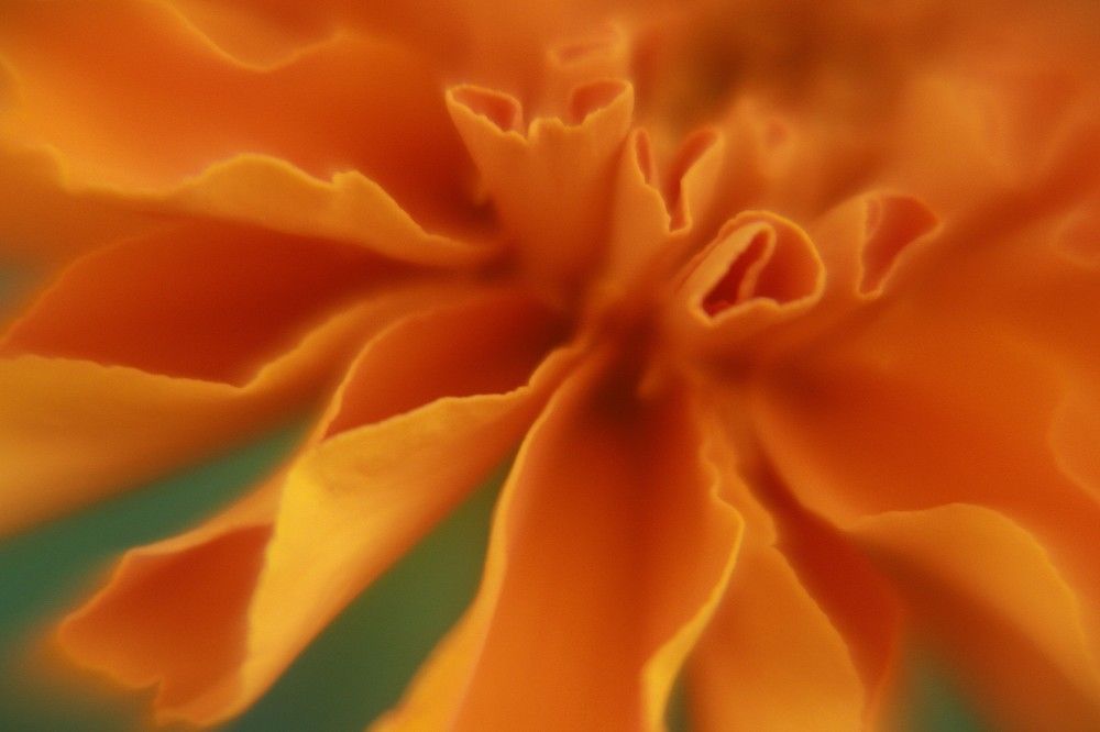 Фотография автора Светлана Терехова