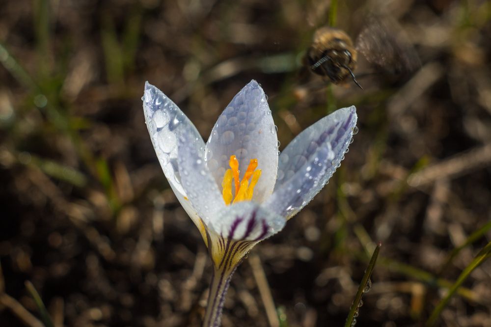 Photograph by Дина Горбачёва