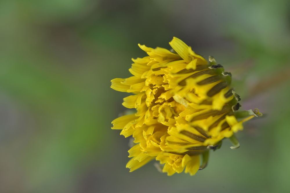 Photograph by Денис