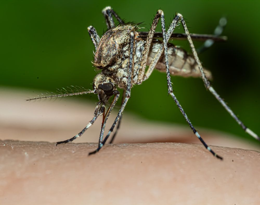 Photograph by Елена