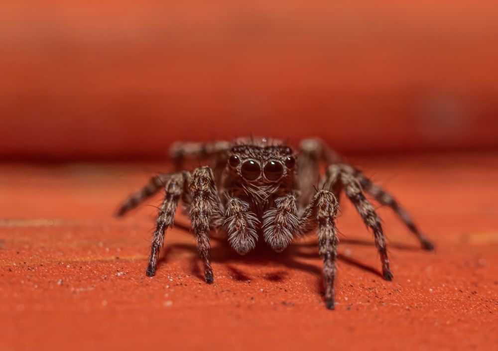 Photograph by Елена