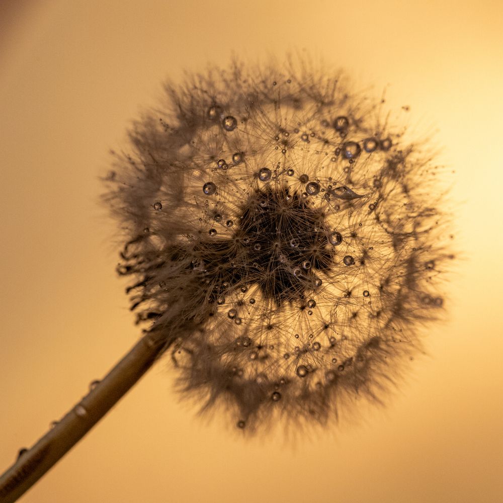 Photograph by Дмитрий Константинов