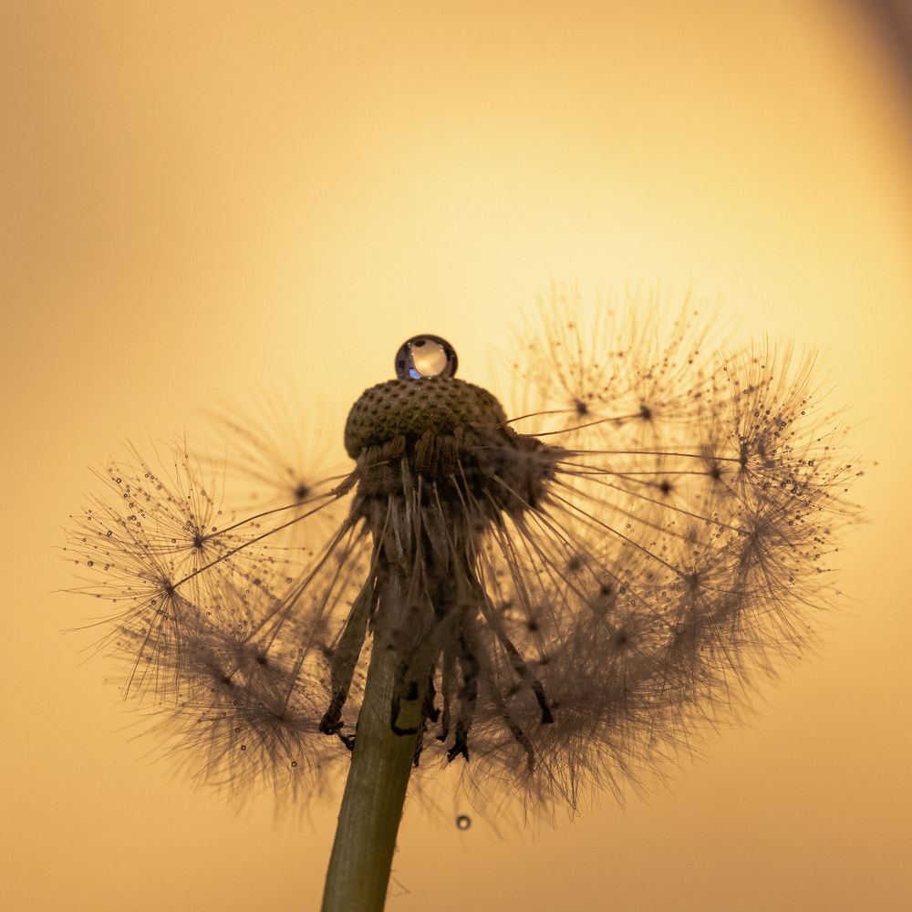 Photograph by Дмитрий Константинов