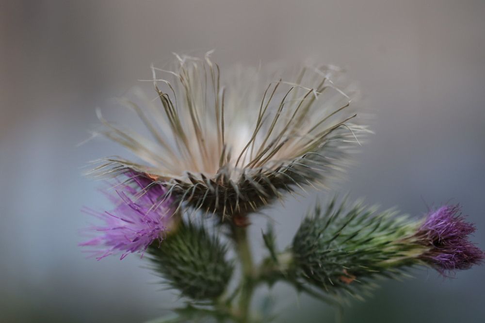 Photograph by Ольга Одаренко