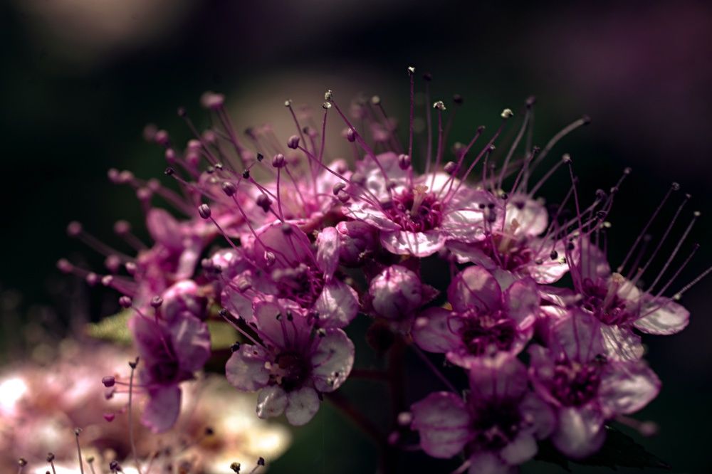 Photograph by Marina Mossiy