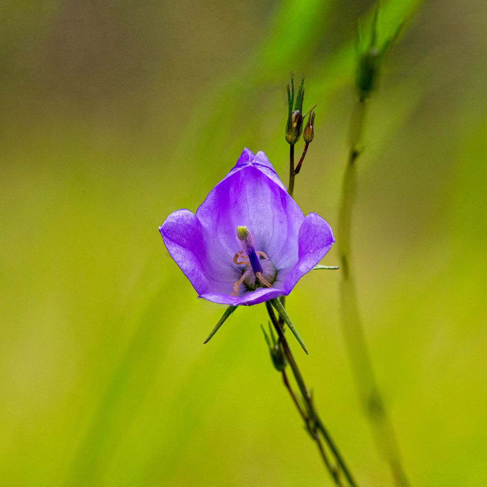 Photograph by Дмитрий Константинов