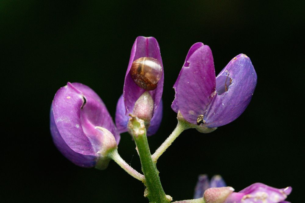 Photograph by Дмитрий Константинов