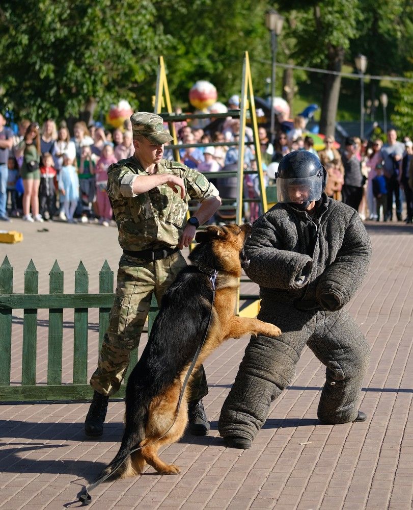 Photograph by Алексей Большаков