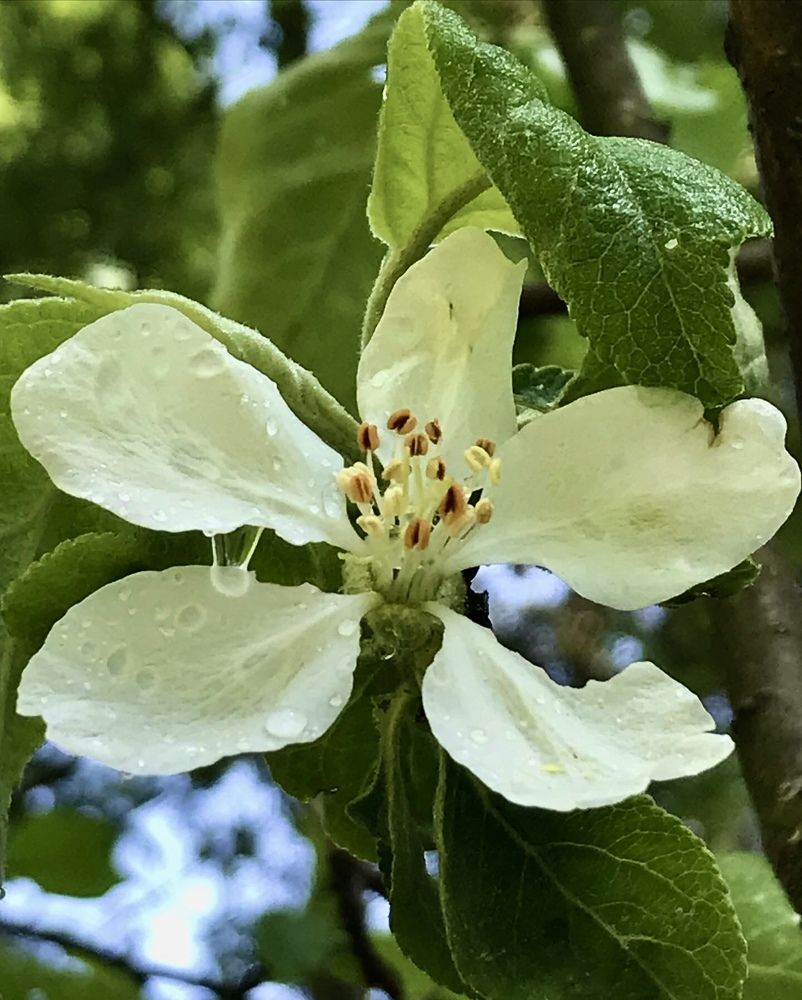 Photograph by Надежда Ткаченко