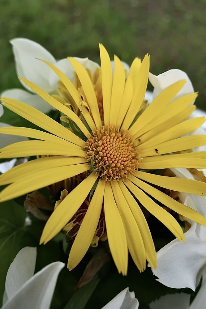 Photograph by Надежда Ткаченко