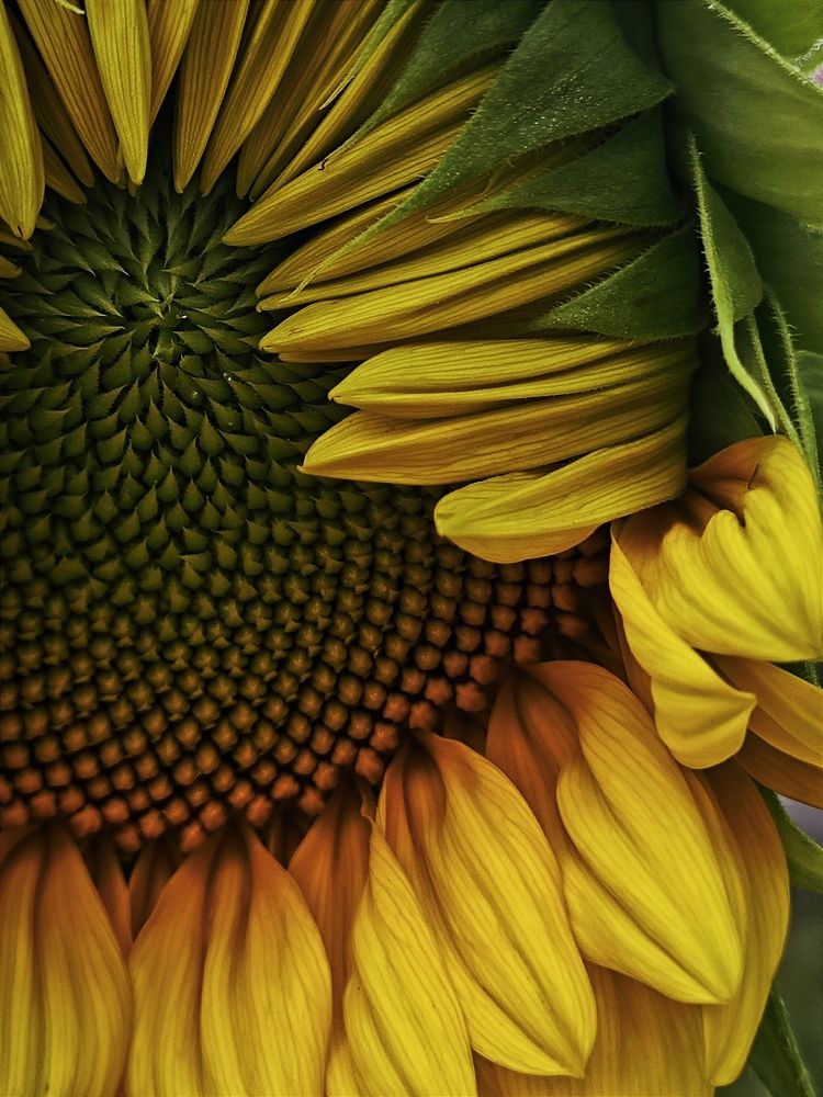 Photograph by Светлана Фоменко