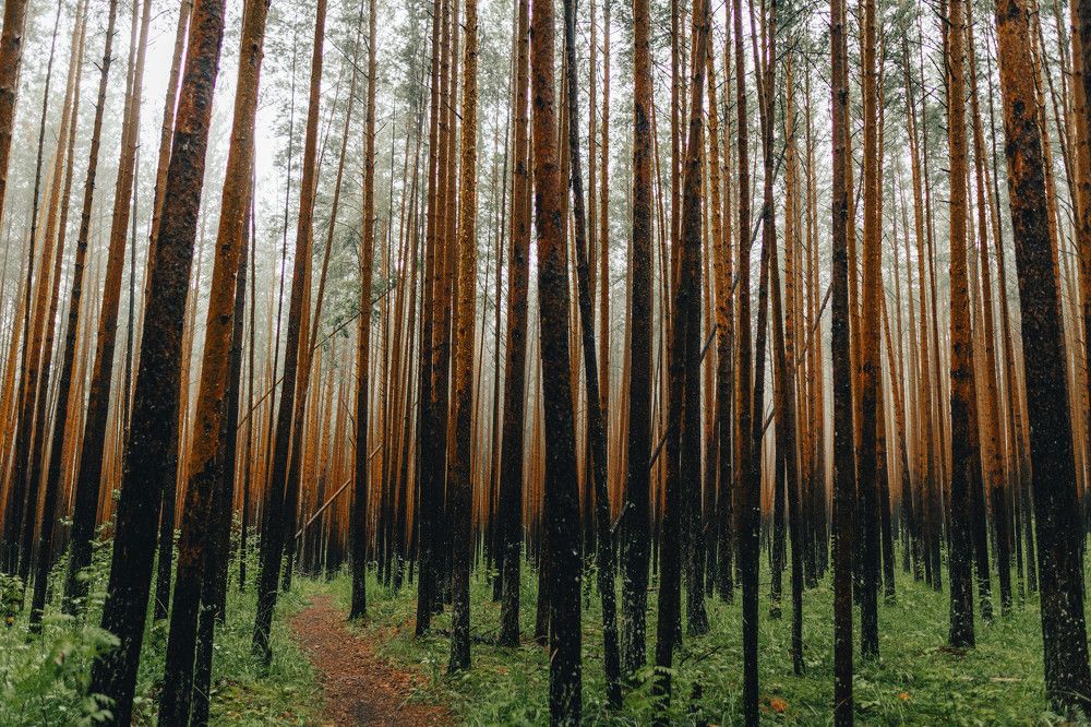 Photograph by Иван Кривоносов