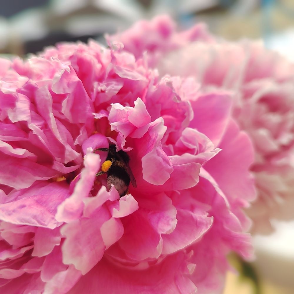 Photograph by Елизавета Завзина