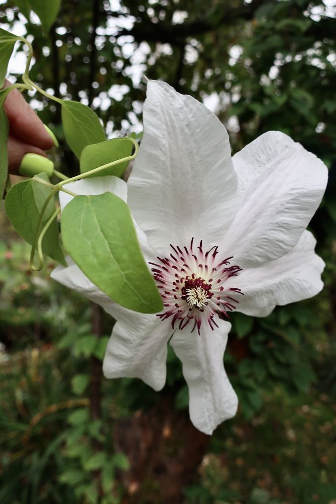 Photograph by Надежда Ткаченко