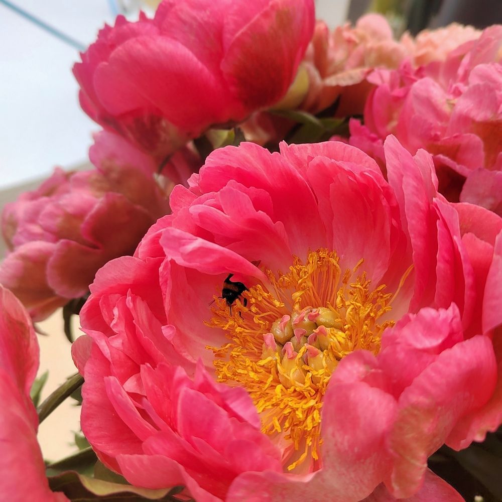 Photograph by Елизавета Завзина