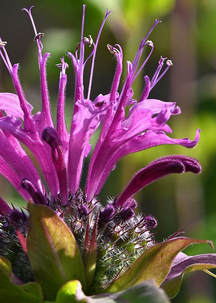 Photograph by  Сергей