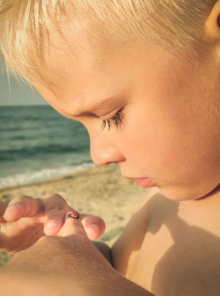 Photograph by Станислав К.