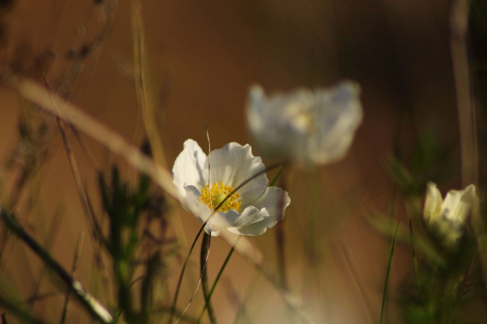 Photograph by Елена Наленч