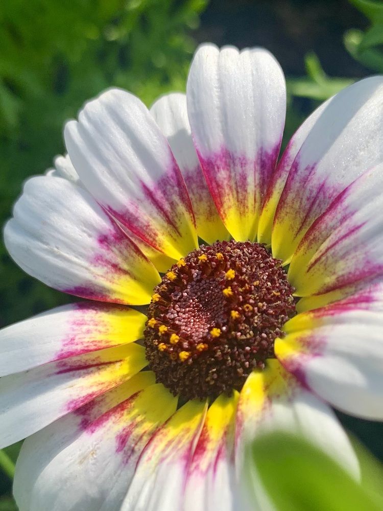 Photograph by Титаренко Людмила