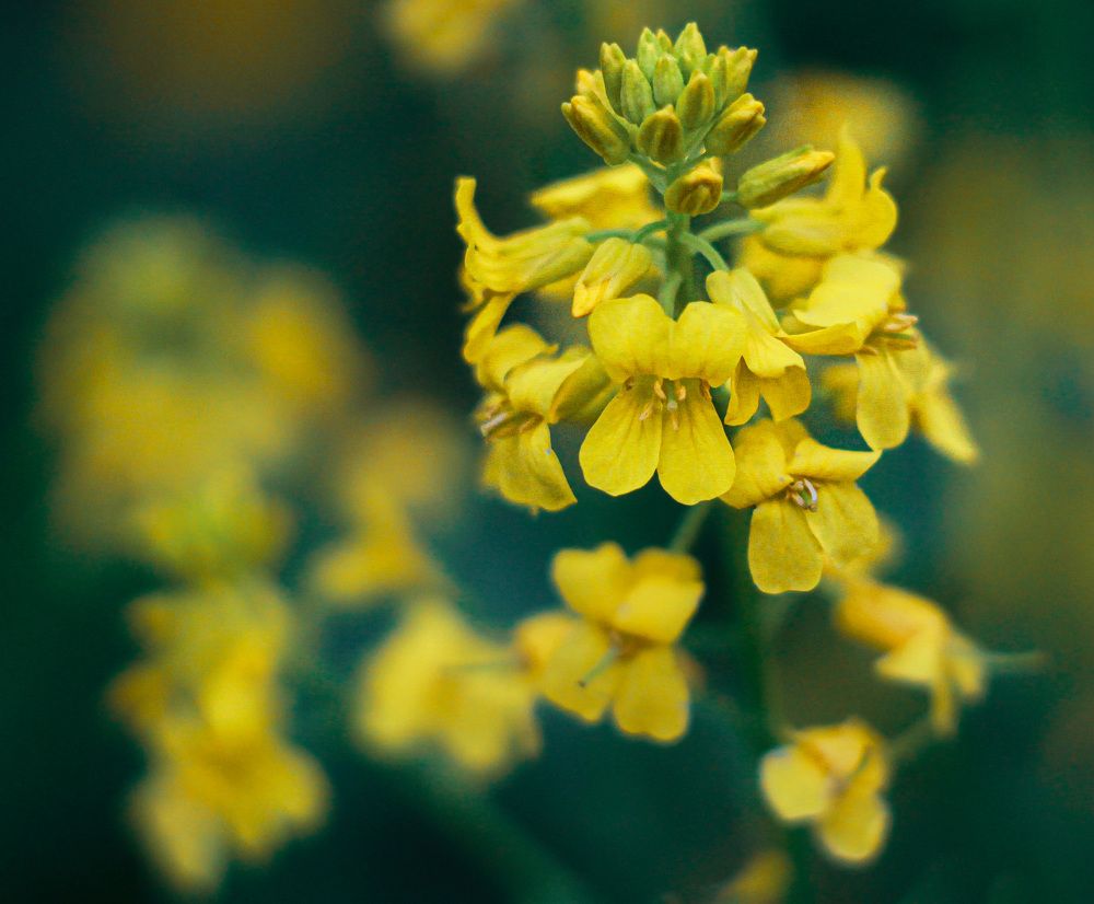 Photograph by Евгения Д