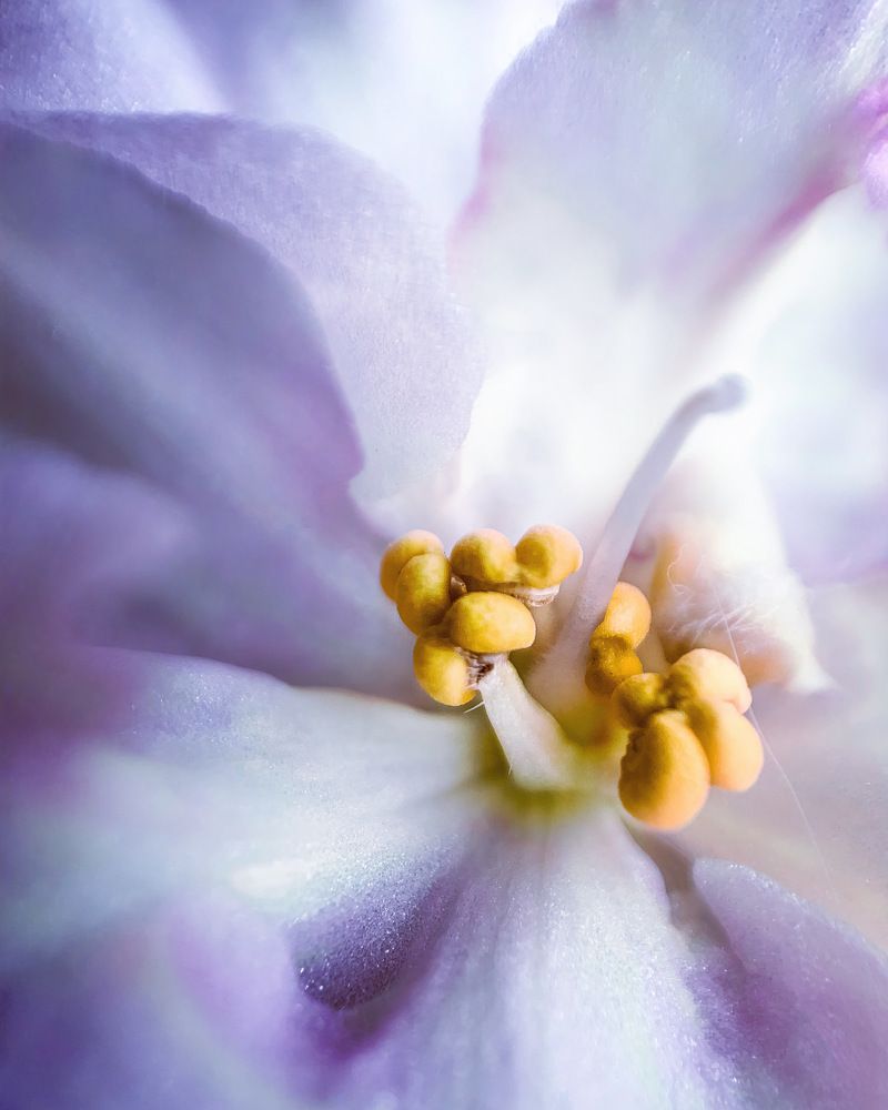 Photograph by Евгения Д