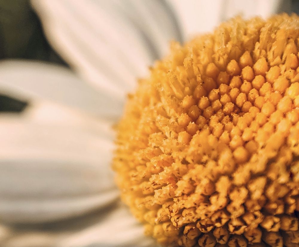 Photograph by Евгения Д