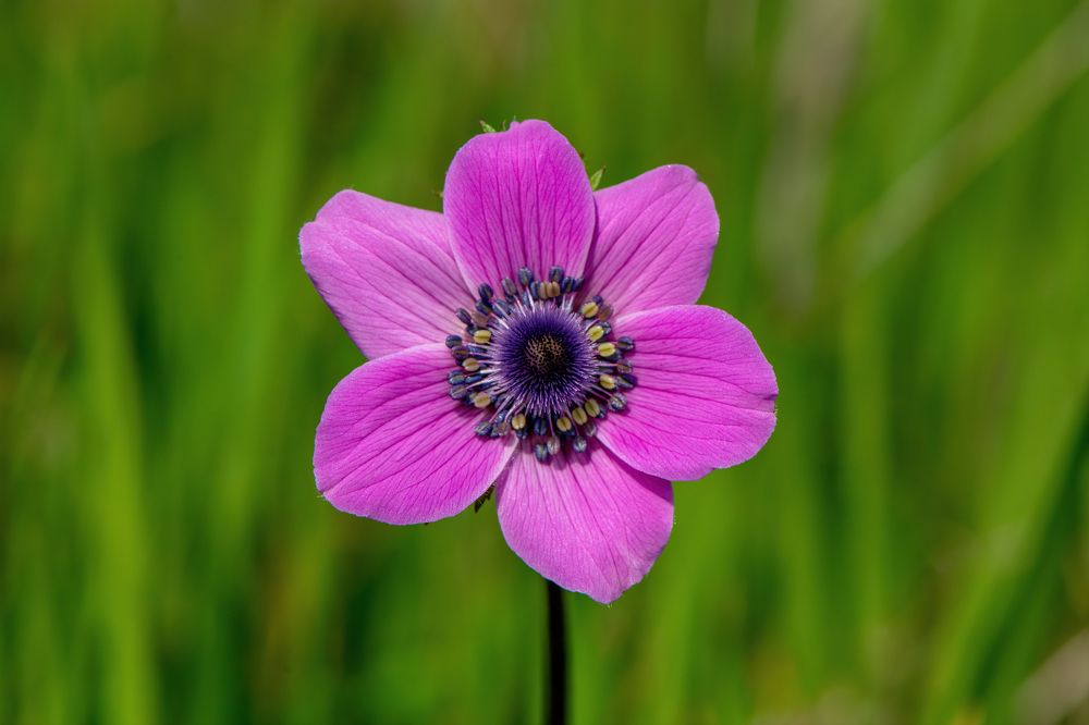 Photograph by Eren Aksoylu