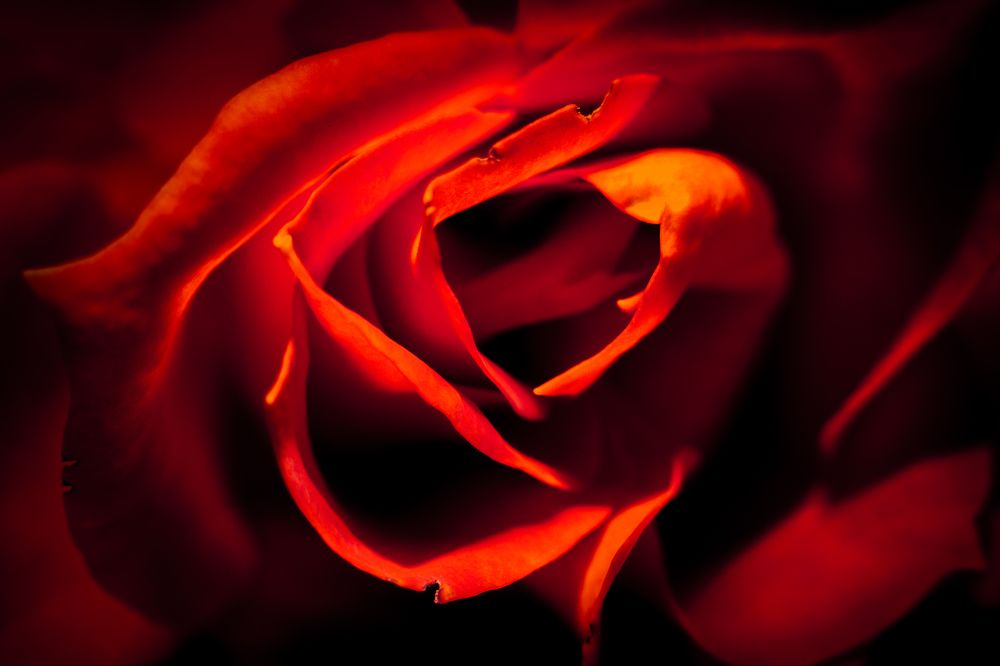 Фотография автора Gabriel de Araujo Almeida