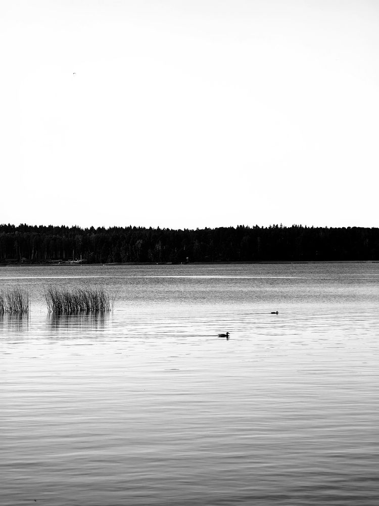 Photograph by Татьяна Груздова