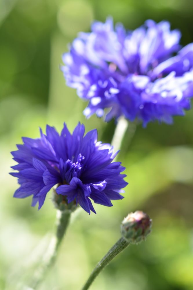 Photograph by Жанна Чередниченко