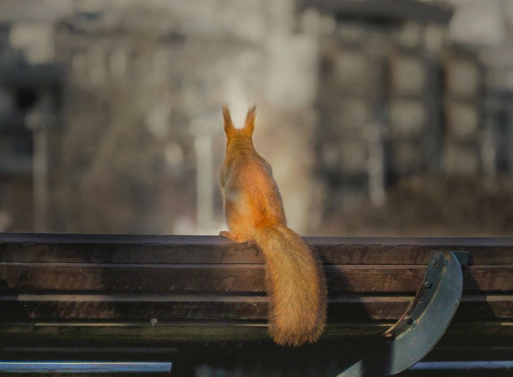 Photograph by Киркляускас Андрюс