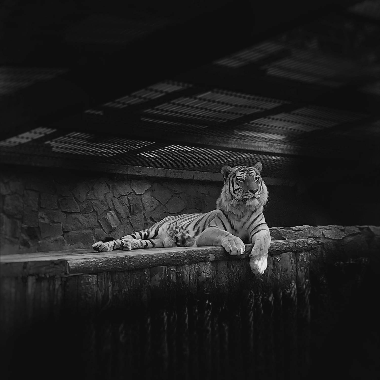 Photo #10869166