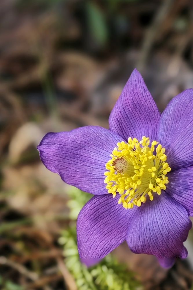 Photograph by Анастасия Филатова