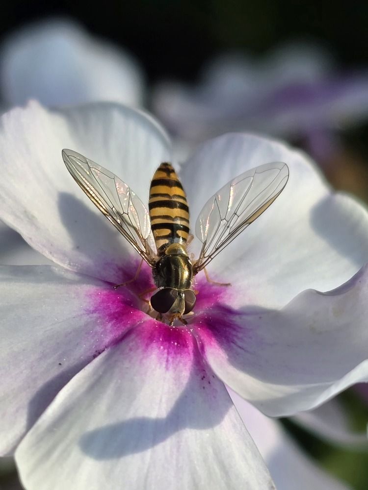 Photograph by Żółtowska Karolina