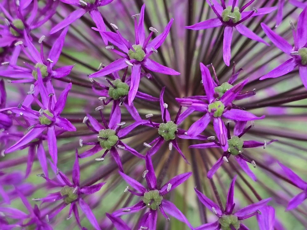 Photograph by Żółtowska Karolina