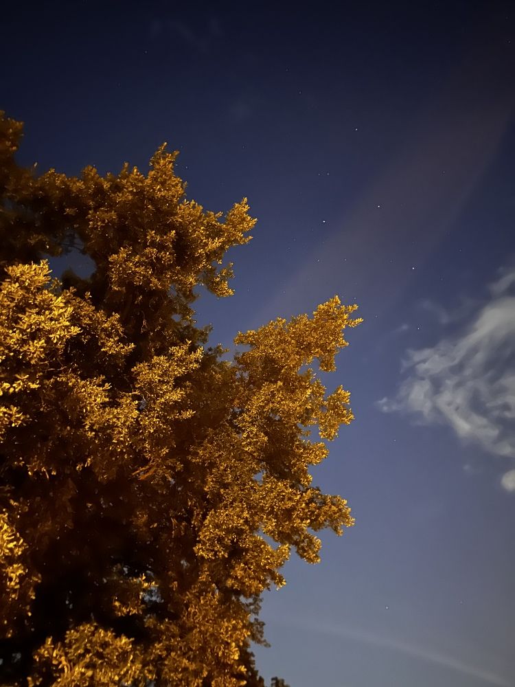 Фотография автора Роман Прохоров