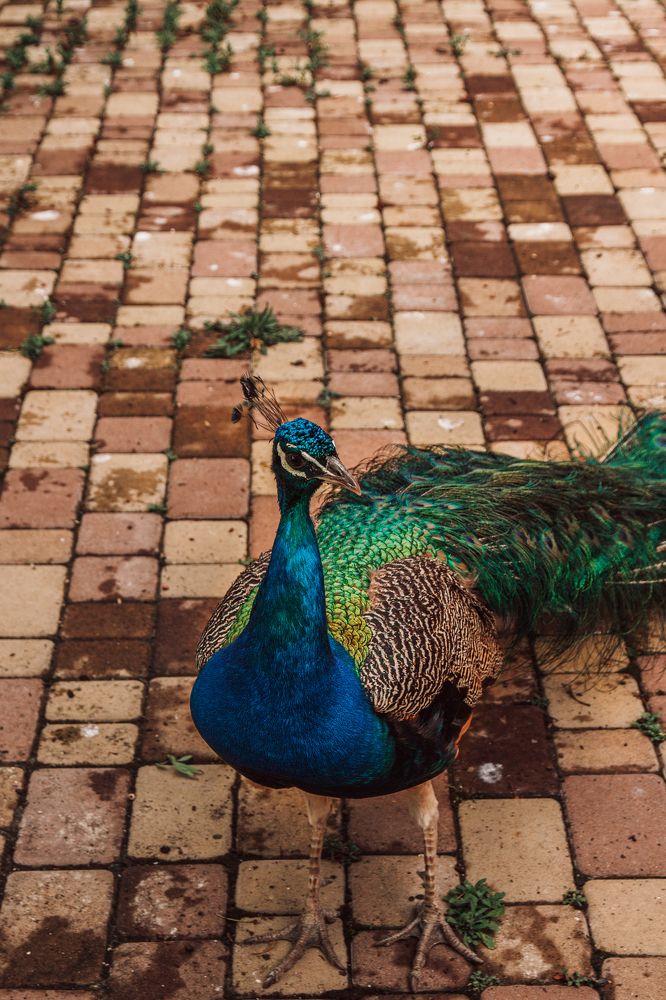 Photograph by Даниил Петруненко