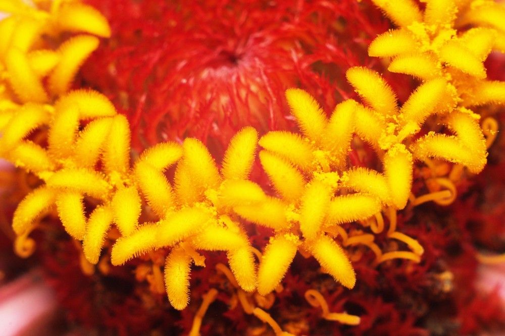 Фотография автора Геннадий Титов