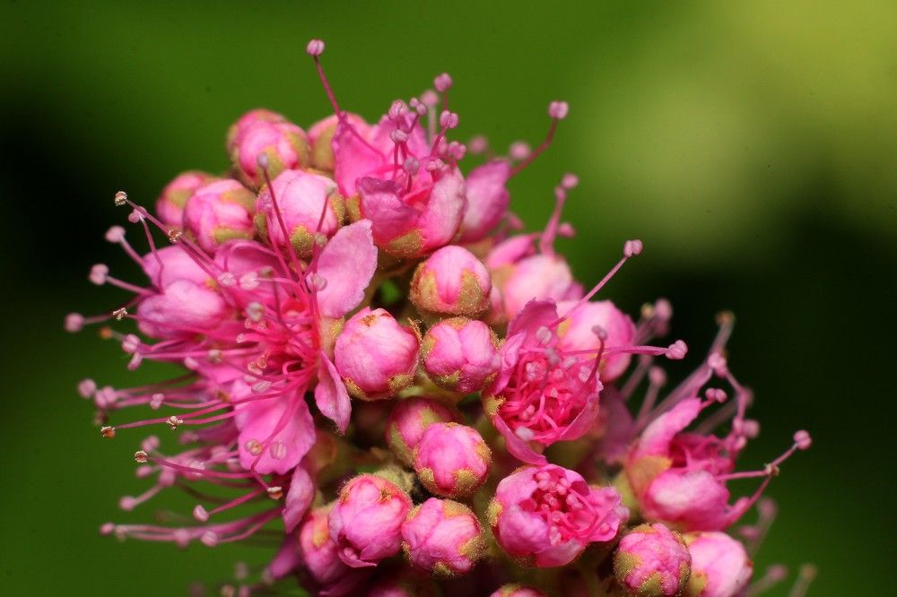 Фотография автора Геннадий Титов
