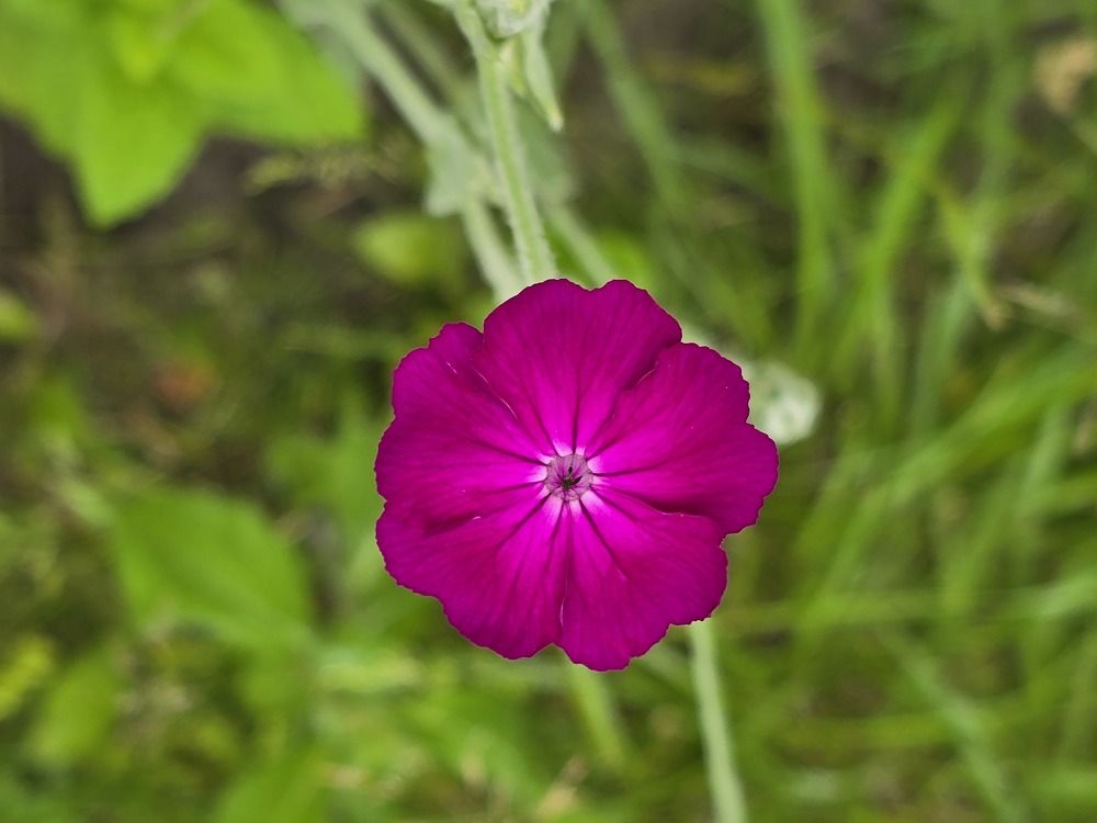 Photograph by Żółtowska Karolina