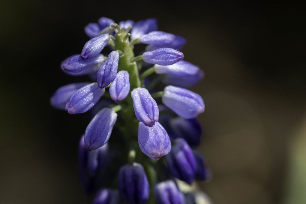 Photograph by Mereuta Eugenia