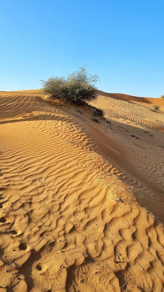 Photograph by Оксана Ермакова