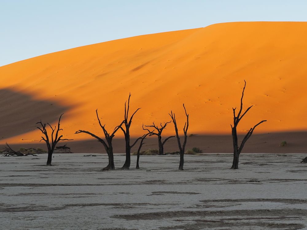 Photograph by Павел Сазанов