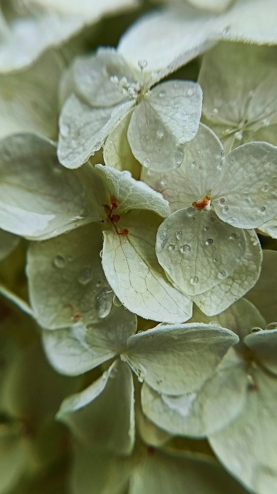 Фотография автора Татьяна Могилевцева