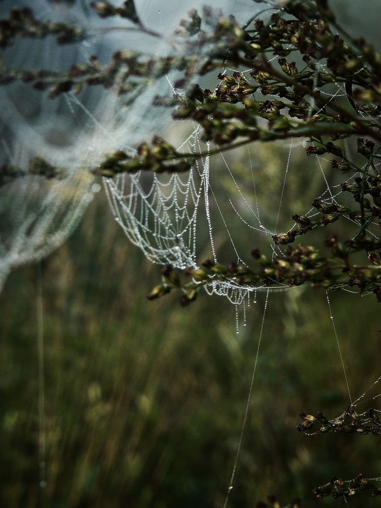 Photograph by Ирина Сергейчук