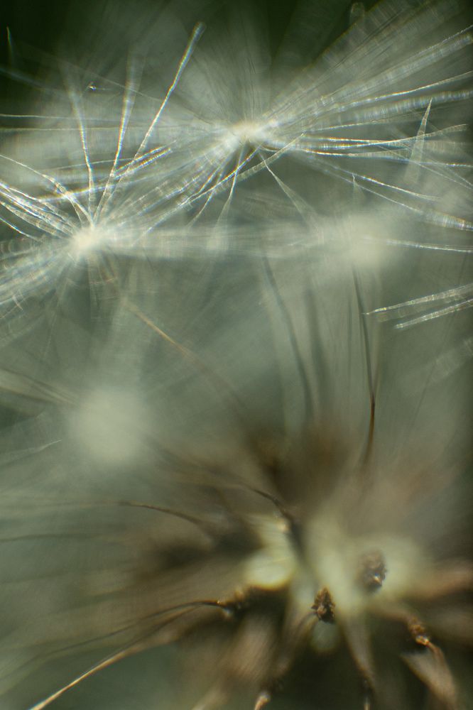 Photograph by инга твердова