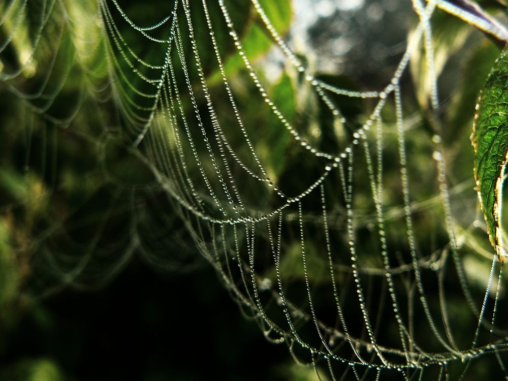 Photograph by Ирина Сергейчук