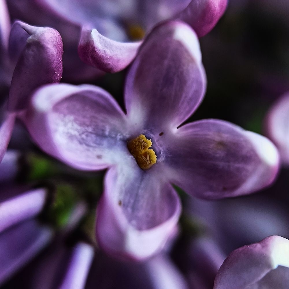 Фотография автора Татьяна Могилевцева
